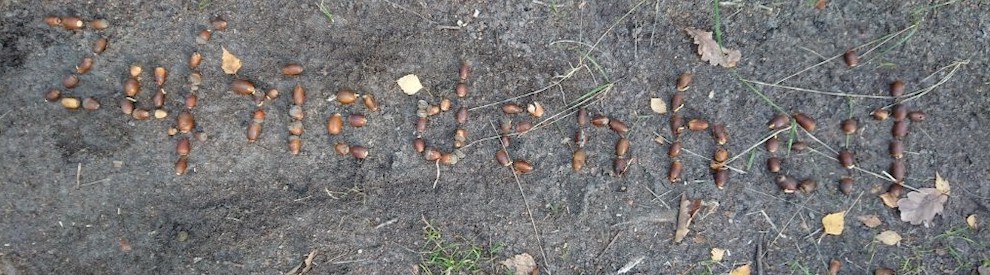 Zentrum für innere Harmonie